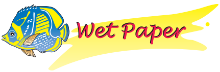 Wet Paper  Logo